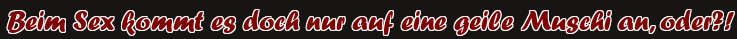 Beim Sex kommt es doch nur auf eine geile Muschi an, oder?!