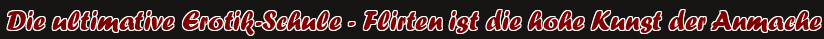 Die ultimative Erotik-Schule - Flirten ist die hohe Kunst der Anmache